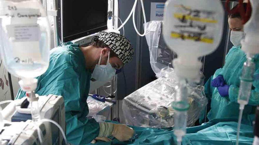 Atención a un paciente en la uci del hospital San Juan de Dios.