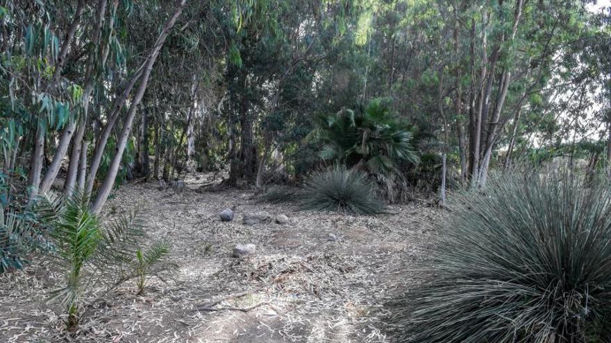 Yacimiento en El Pajar, Mogán