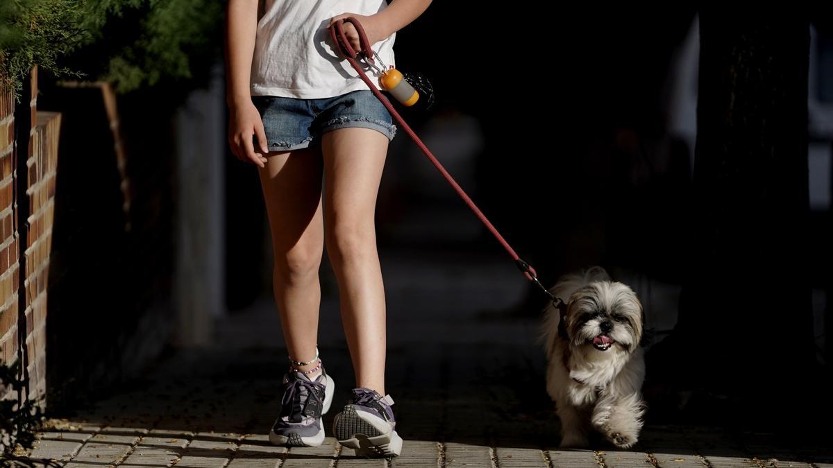 Una niña pasea con su perro. FOTO JOSÉ LUIS ROCA