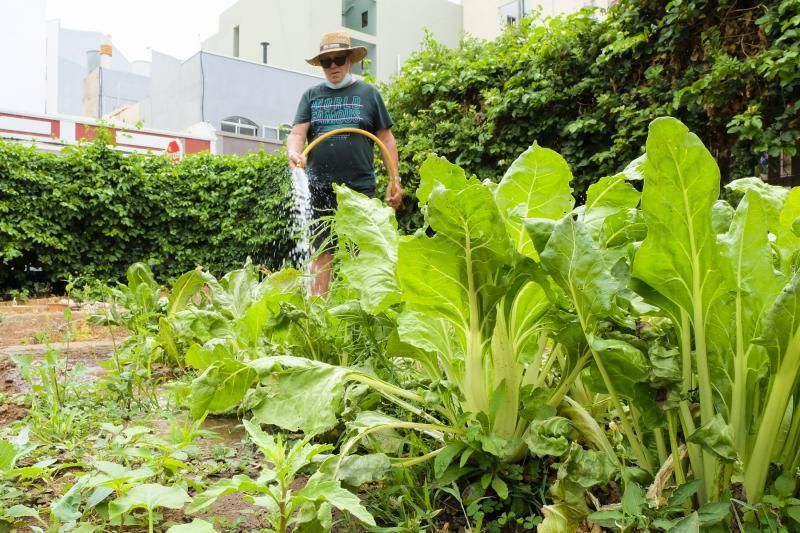 Reabren los huertos urbanos de la ciudad