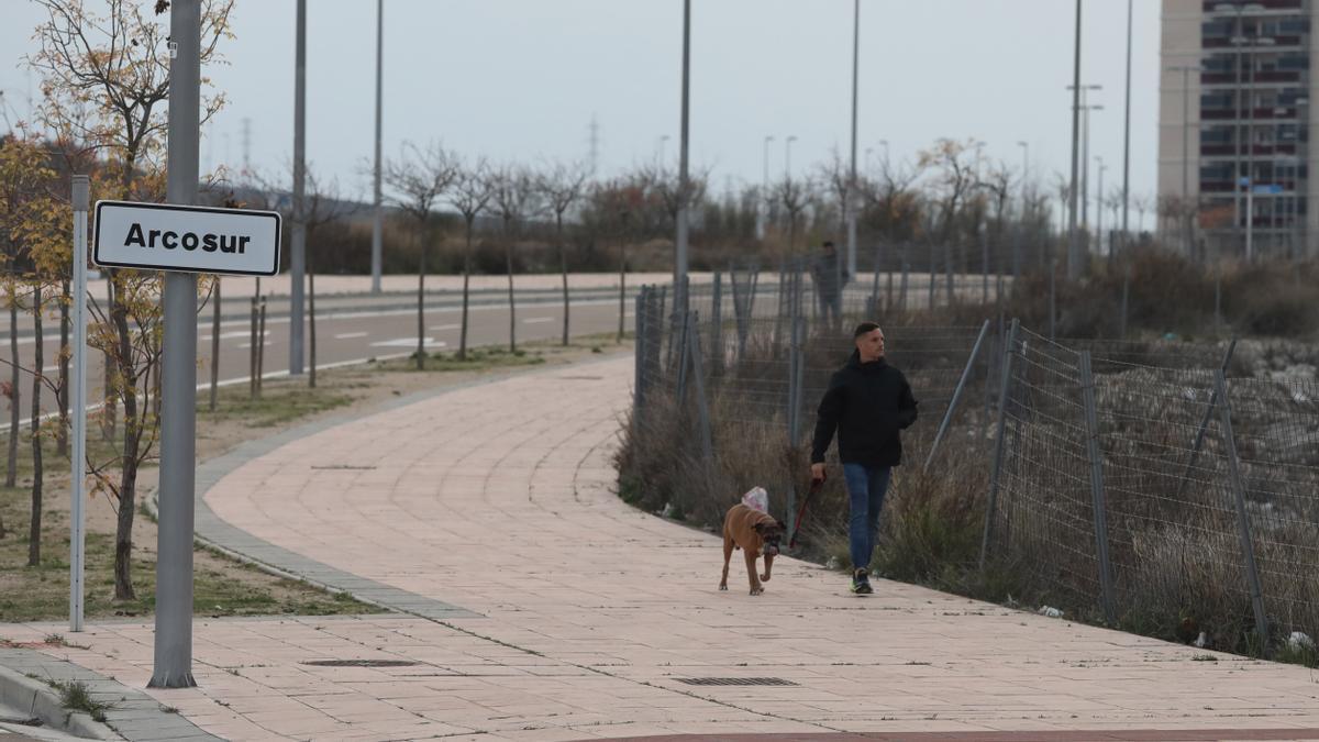 Un vecino paseando con su perro por el barrio de Arcosur.