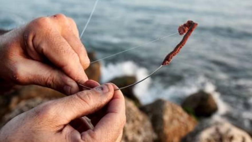 La pesca con caña pasa por horas bajas