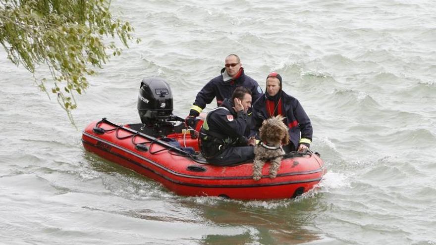 La Policía retoma el rastreo de Victor Da Silva en el Ebro con guías caninos