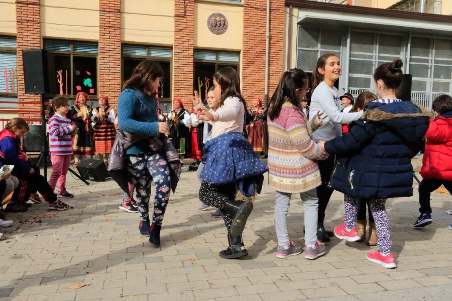 El magosto llega al colegio Arias Gonzalo