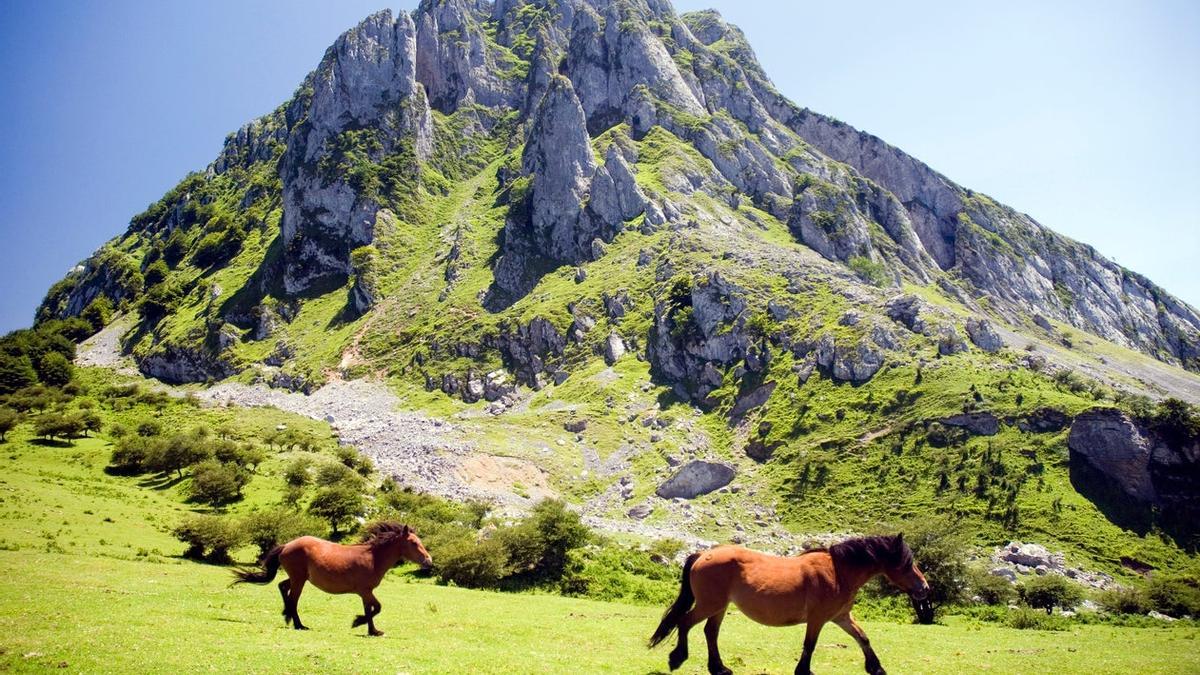 La Ruta de los Sentidos, todo lo que necesitas para enamorarte de Álava