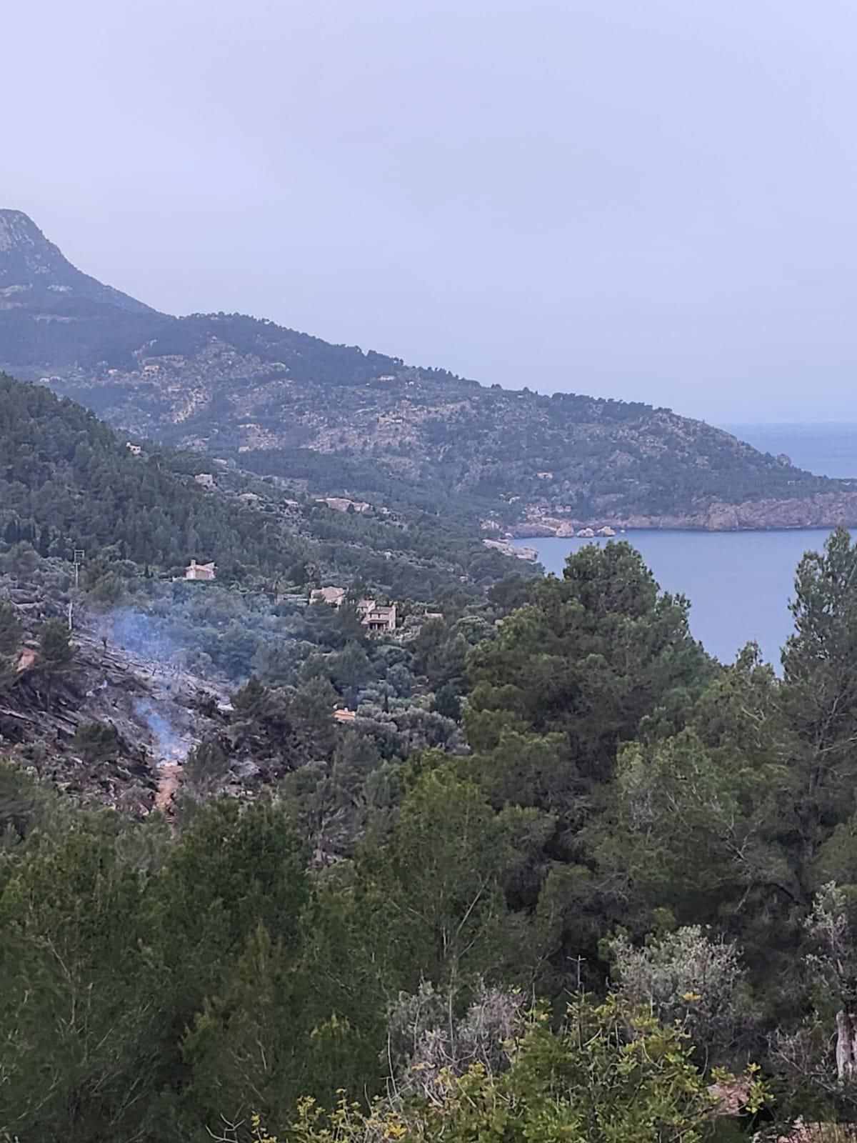 Un incendio forestal obliga a desalojar varias viviendas en Sóller