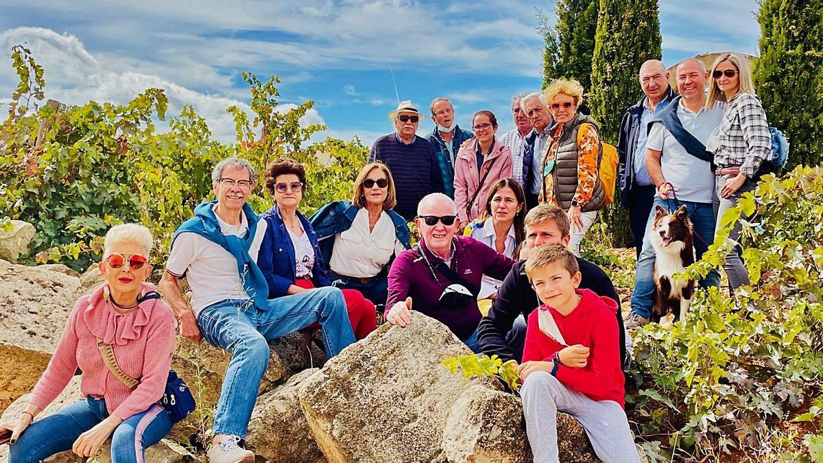 Las vendimias familiares regresan a Toro de la mano de Verdi  | M. J. C.