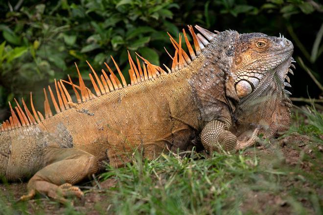 Costa Rica, salvaje y auténtica