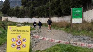 Catalunya eleva a 22 les denúncies per saltar-se les restriccions de la pesta porcina a Collserola