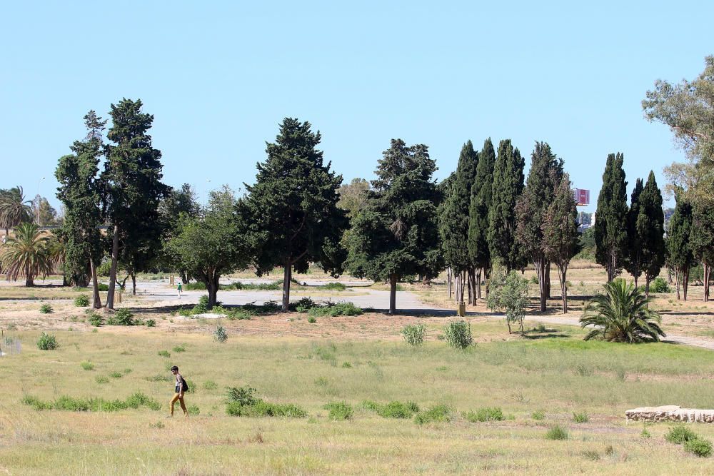 Inauguración del parque del Campamento Benítez.