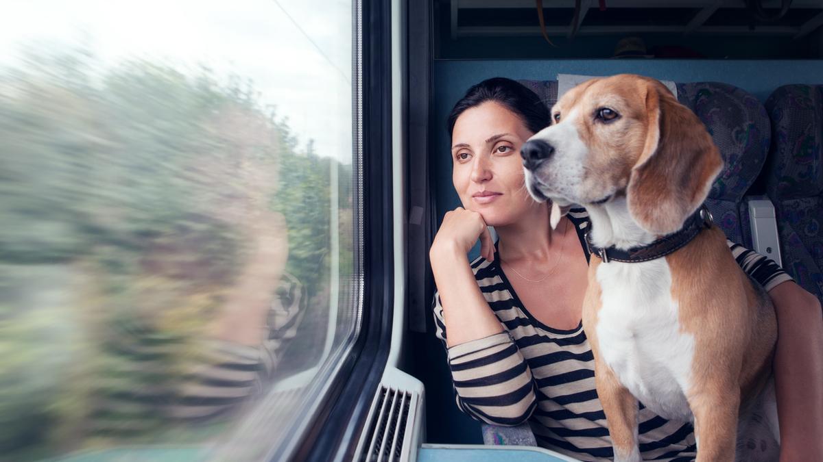Perros en el AVE: Descubre qué tienes que hacer para viajar con ellos y qué razas están permitidas