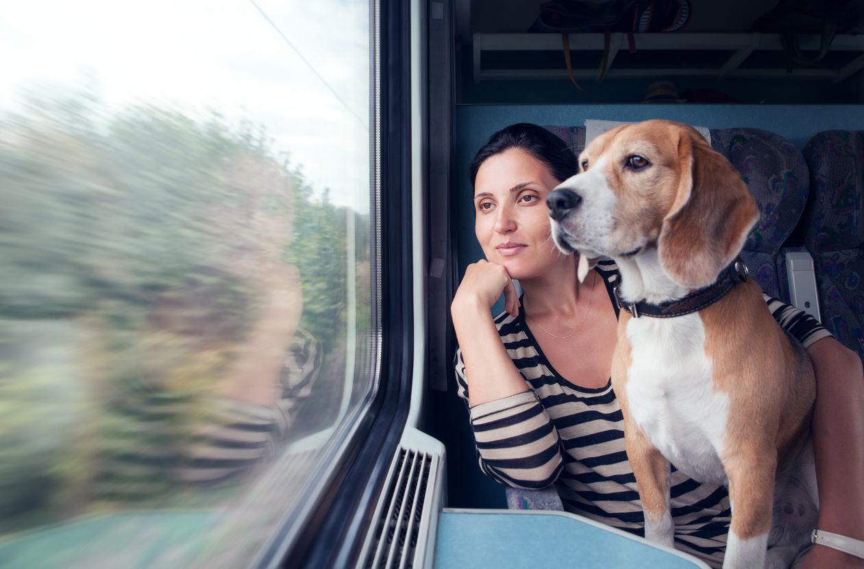 Todo lo que debes saber si vas a viajar con tu mascota en tren.