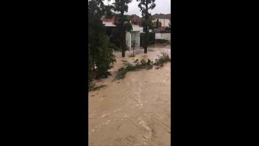 El río Segura se desborda a su paso por Archena y desaparece el paseo (II)