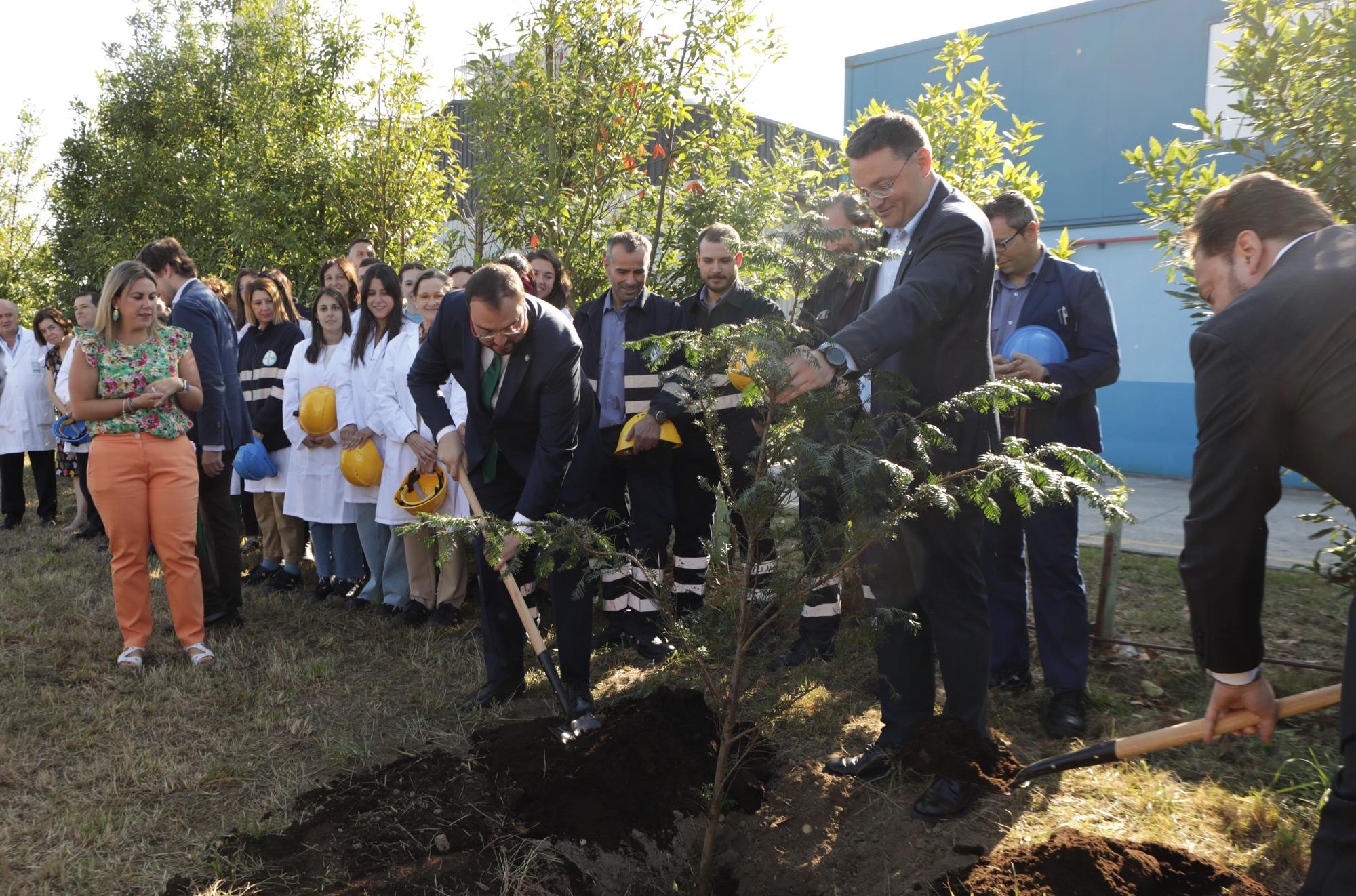 Bayer cumple 80 años en Langreo