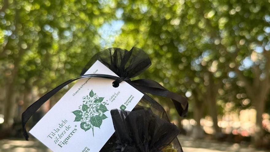 Figueres reaprofita la flor dels til·lers per elaborar bosses de til·la de quilòmetre zero
