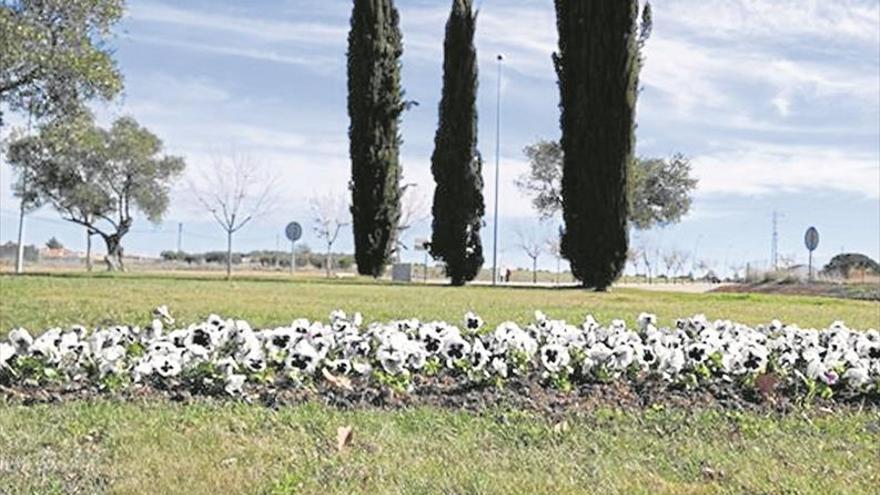 El Ayuntamiento de Villanueva de la Serena planta unos 1.200 árboles, 3.500 arbustos y 400 setos