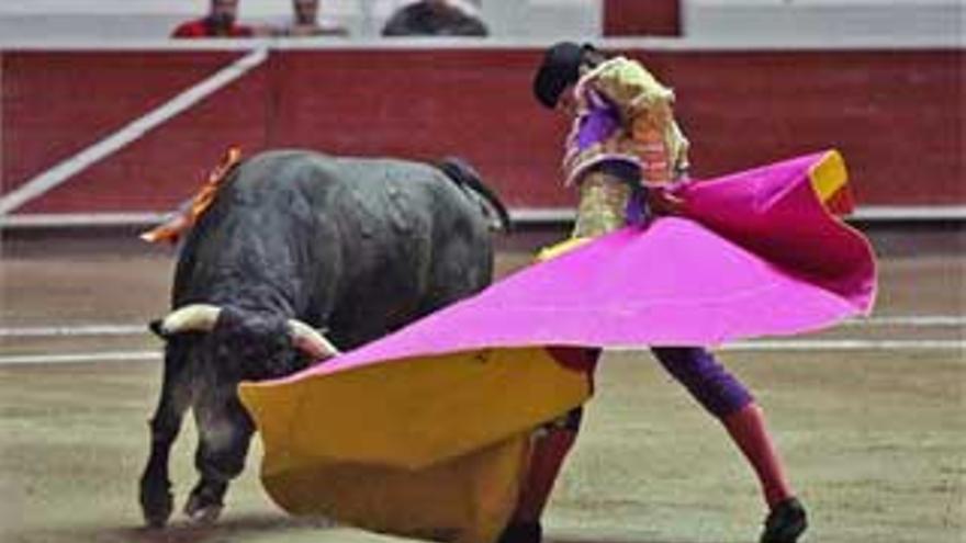 La Sociedad Protectora de Animales  de Francia reúne 117.000 firmas contra las de toros