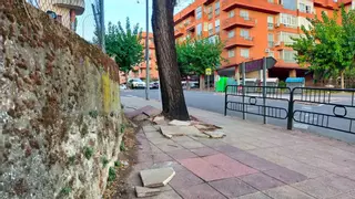 Aceras levantadas en Plasencia: quejas y caídas