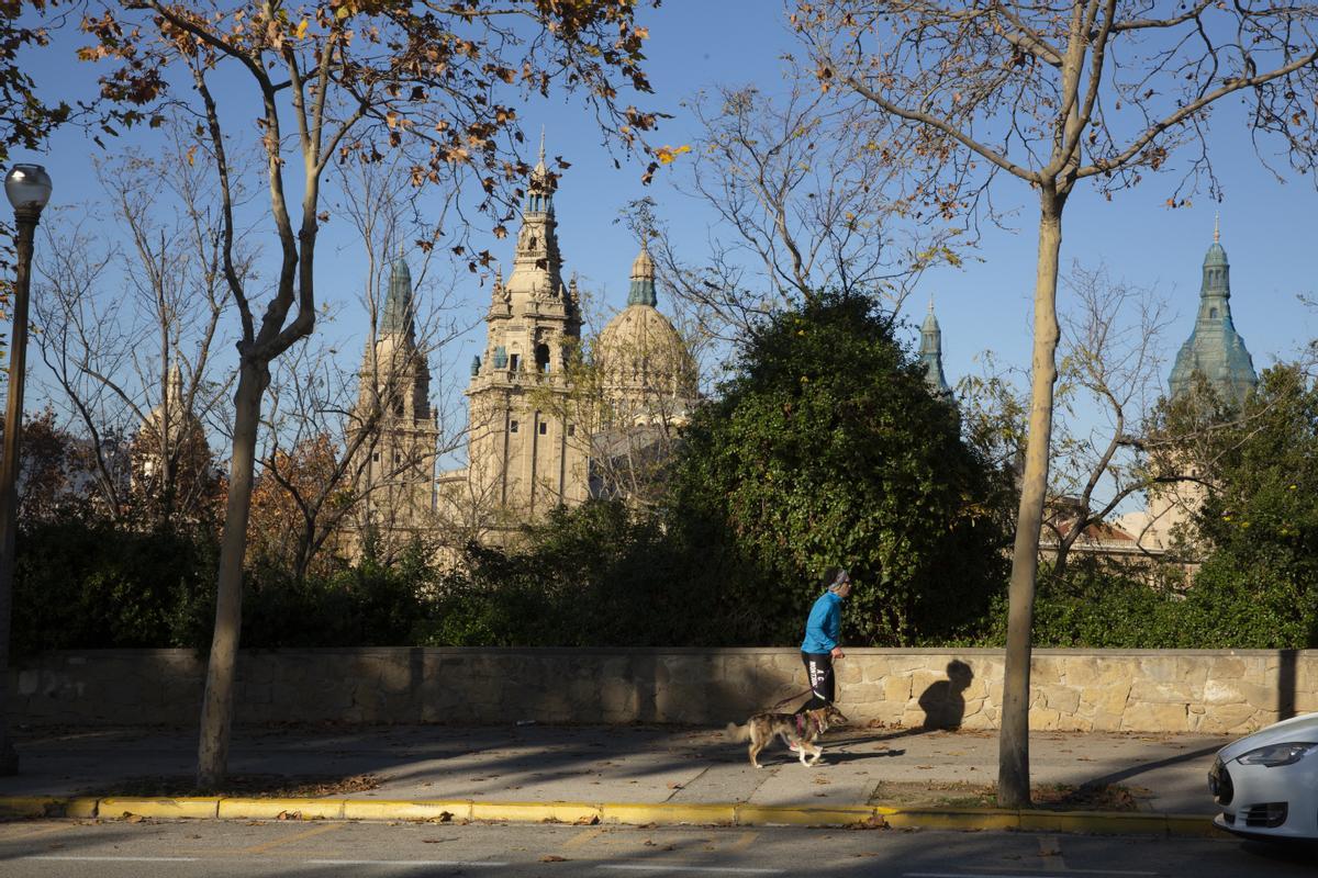 Una persona se ejercita en Montjuïc con el MNAC al fondo, en Barcelona.