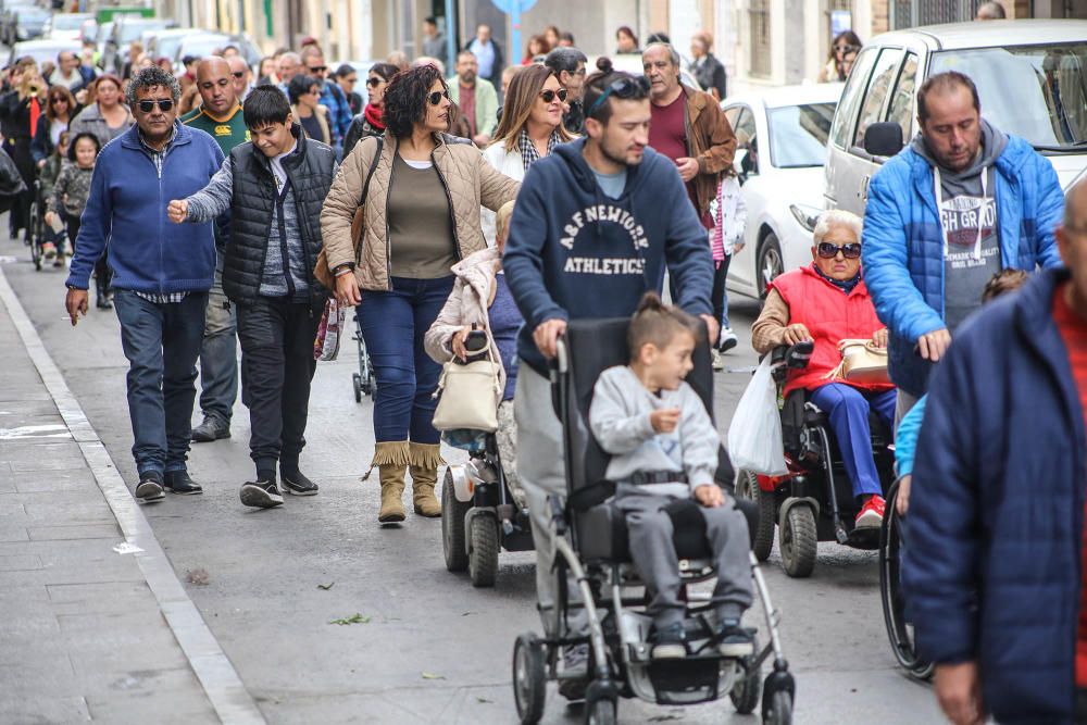 Un paseo por la jungla en Torrevieja