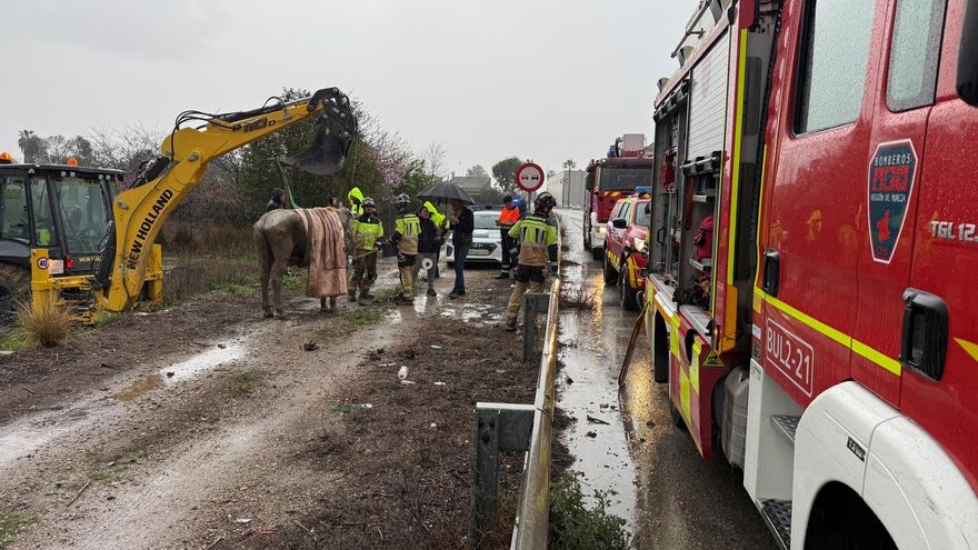 Rescatan a un caballo atrapado en un barrizal por las lluvias en Murcia