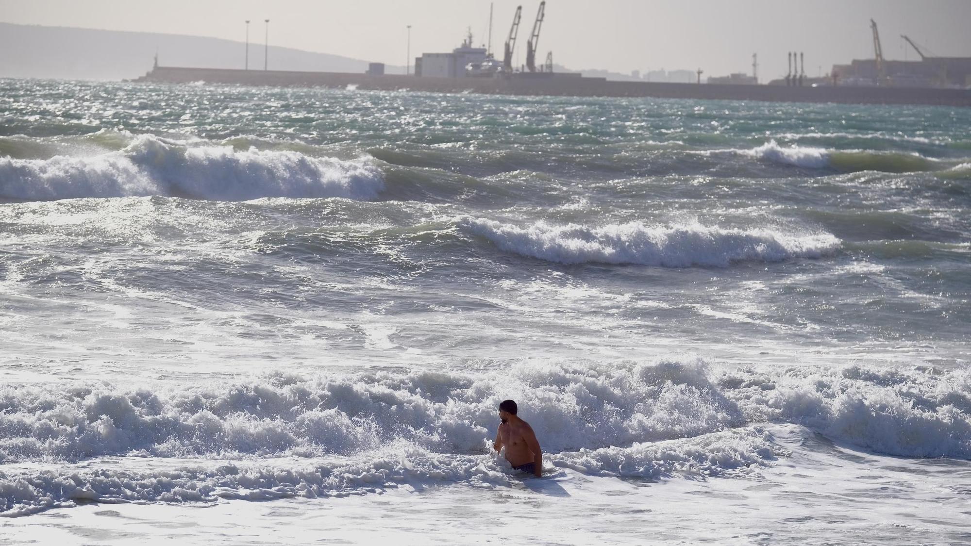 Borrasca Ciarán en Mallorca: Las fotos de los chapuzones de bañistas en pleno temporal