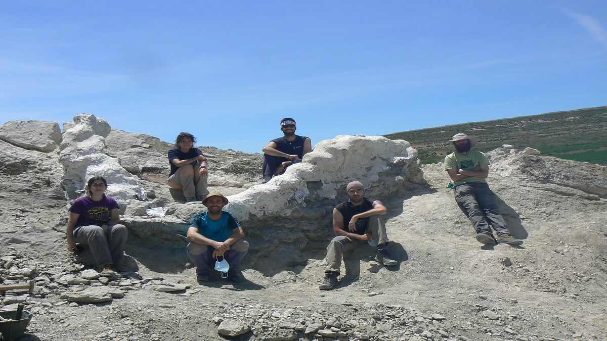Descubren cinco metros de columna vertebral de dinosaurio en Teruel