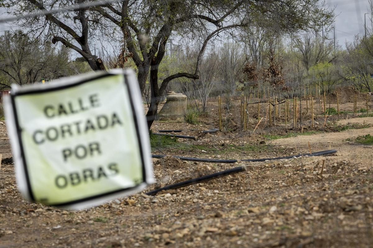 La plantación de la nueva Olmeda de Torre Ramona respeta el arbolado que ha nacido en los terrenos usados como escombrera.