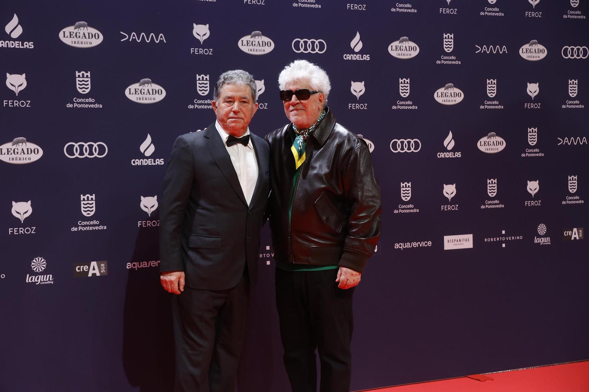 Alfombra roja de los Premios Feroz 2025