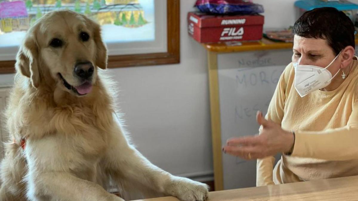 Uno de los perros de terapia con una usuaria. |   // CENTRO JUAN MARÍA