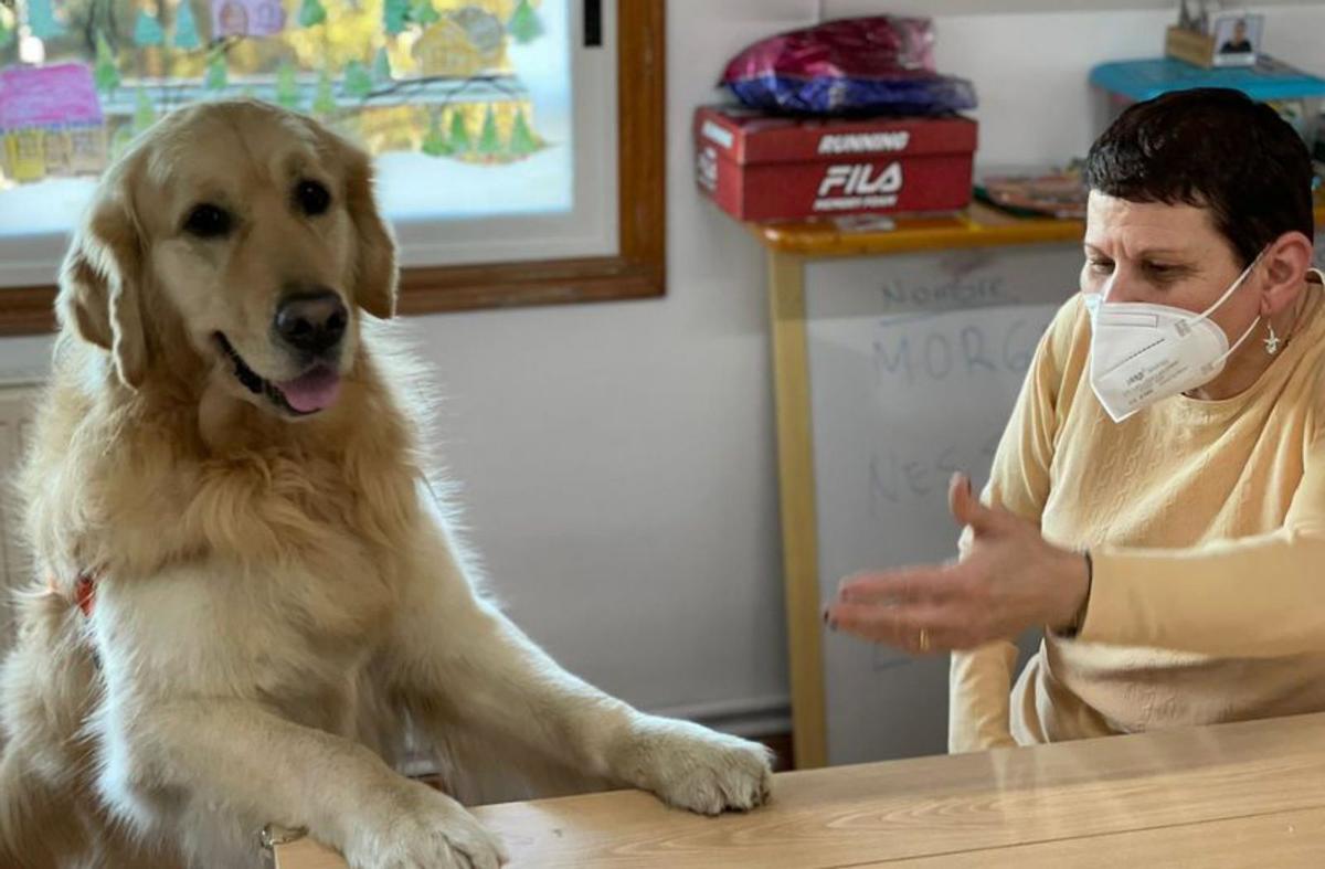 Uno de los perros de terapia con una usuaria. |   // CENTRO JUAN MARÍA
