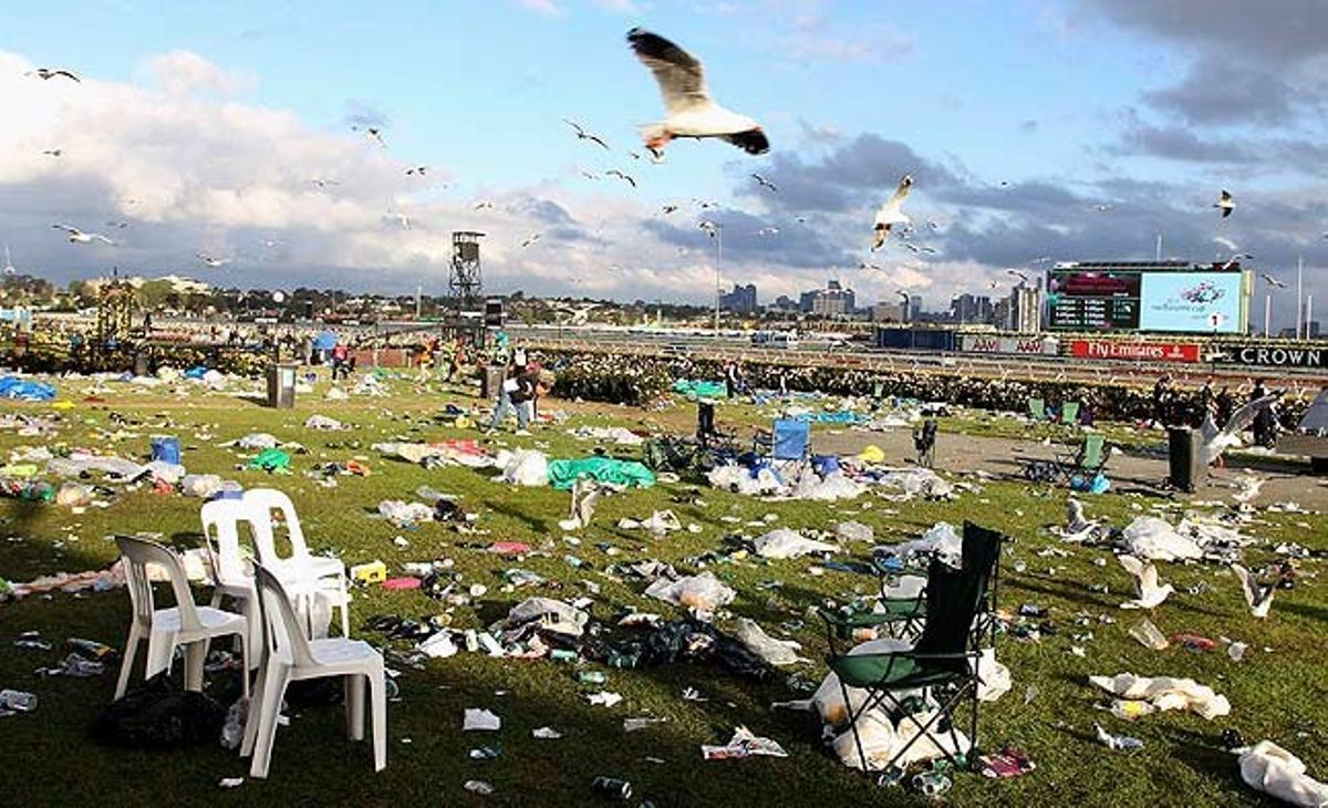 Les gavines volen sobre la pista de carreres de Flemington, a Melbourne (Austràlia), buscant les restes que han deixat els assistents a la Copa de Melbourne.