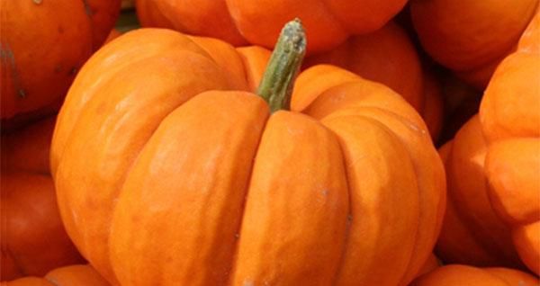Halloween y Todos los Santos