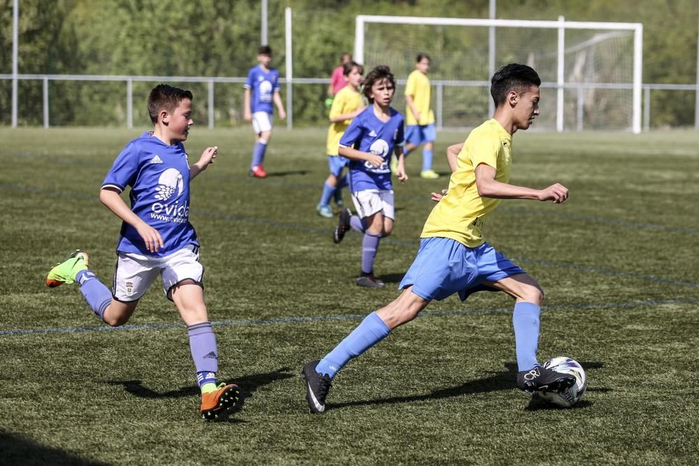 Oviedo Cup 2017: todas las imágenes