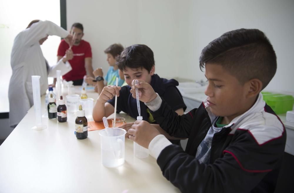 Primavera educativa en Valencia