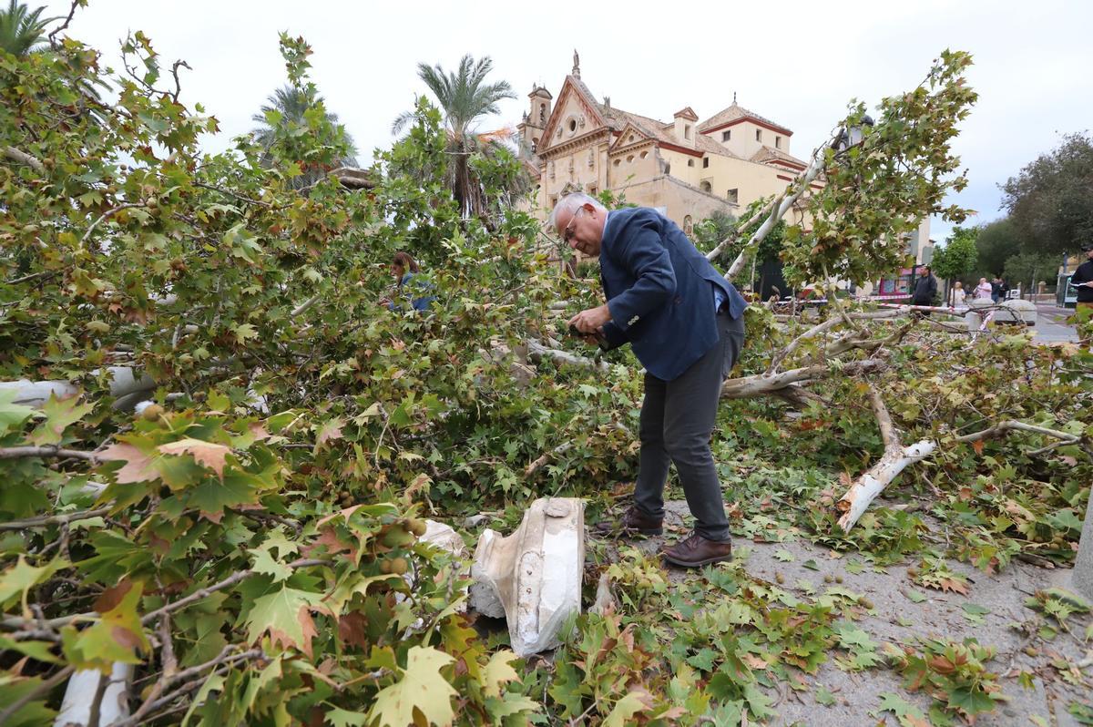 Gabriel Rebollo, arquitecto municipal, examina los restos del San Rafael en el Alpargate