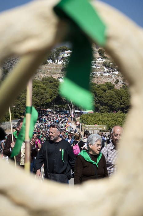 Magdalena 2019: Romeria de les canyes