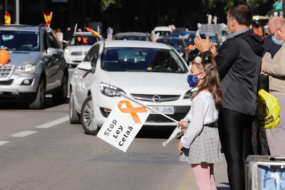 Miles de murcianos protestan en las calles contra la ley Celaá