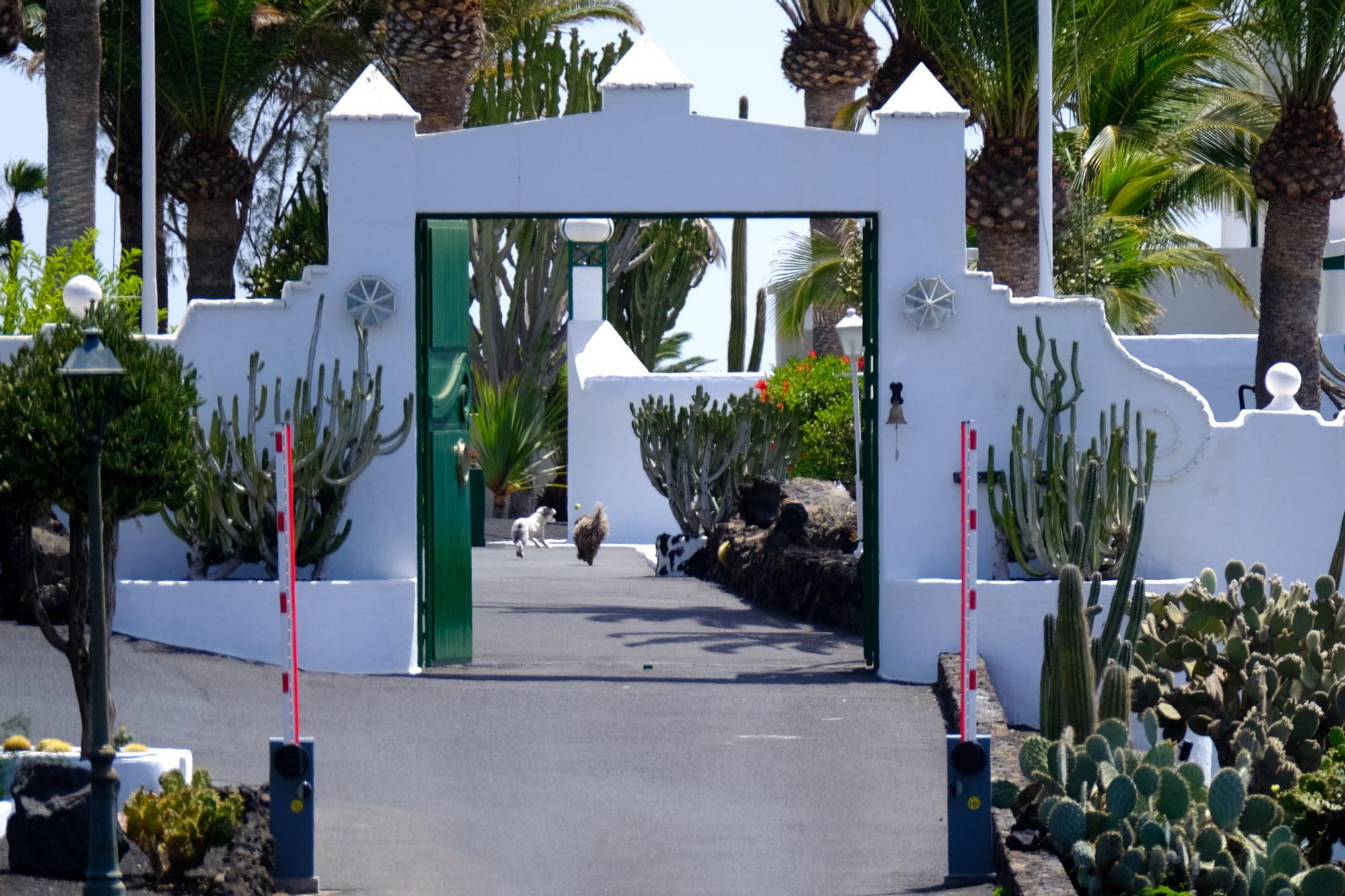 Zapateros en Lanzarote