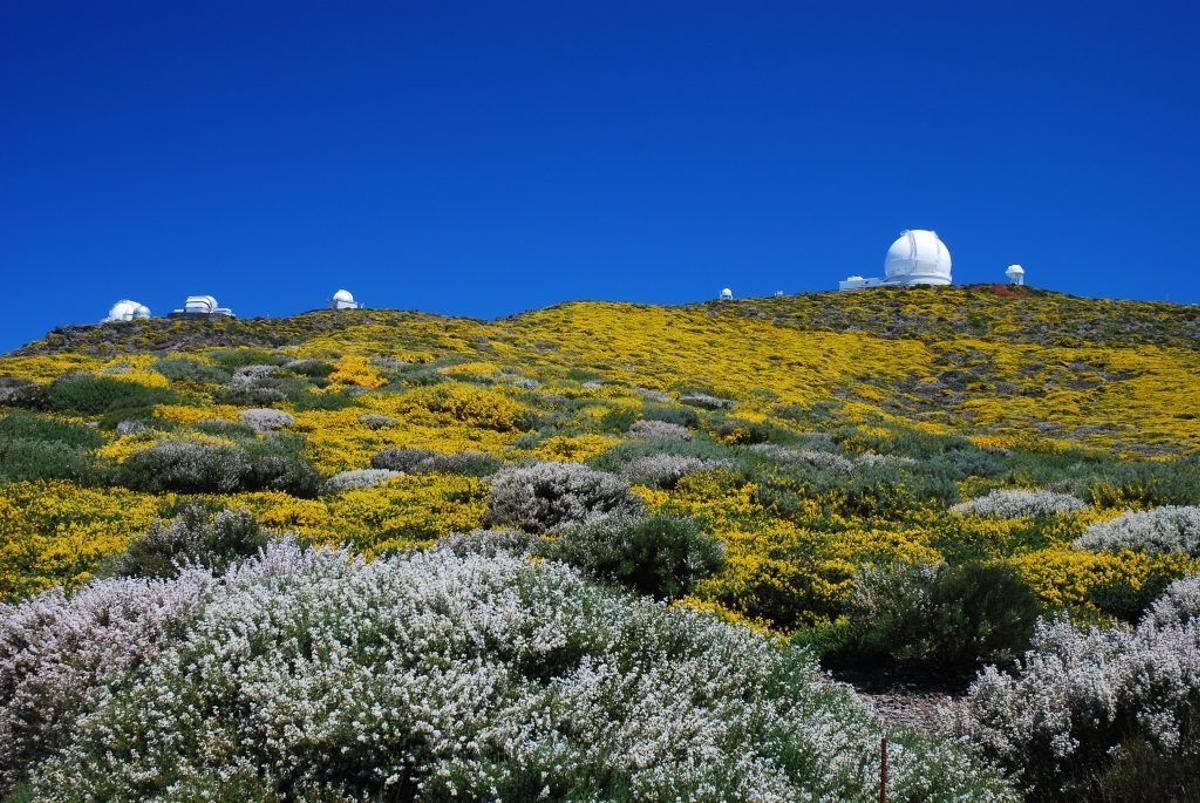 Roque de los muchachos.