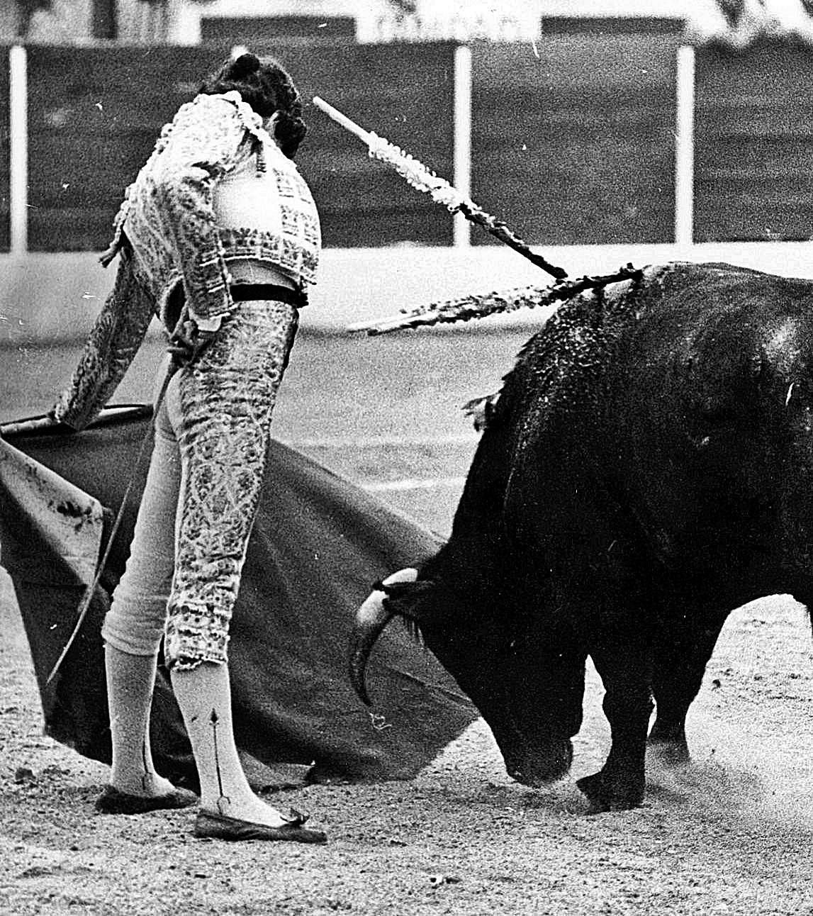 Natural de Finito de Córdoba a un novillo entregado. 