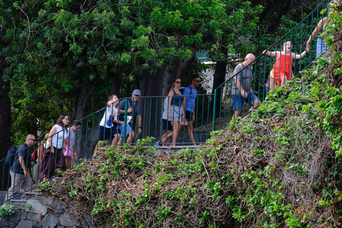 Actividad familiar en busca de los animales escondidos en Las Palmas de Gran Canaria