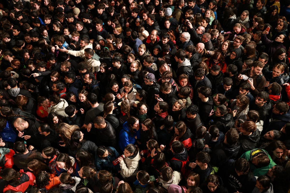 Pi de Sant Antoni de Pollença