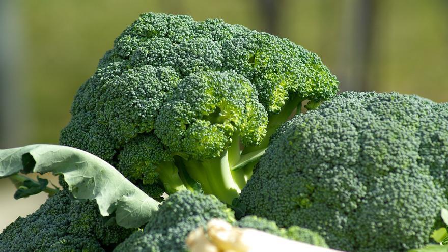 Estas son las tres enfermedades que puede curar el brócoli