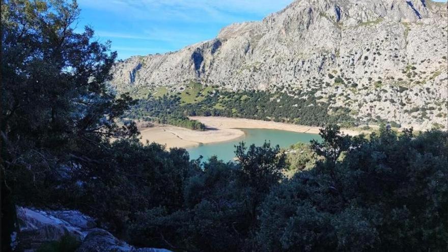 Situation der Wasserreserven auf Mallorca trotz des Regens in den vergangenen Tagen &quot;besorgniserregend&quot;