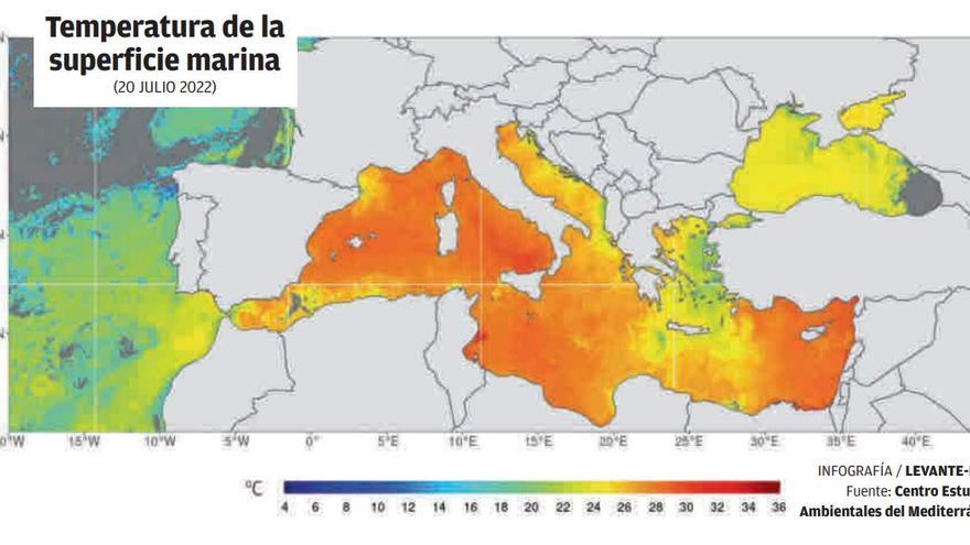 Temperatura de la superficie marina