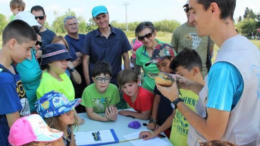 Jornada de seguimiento de tortugas en el Clot