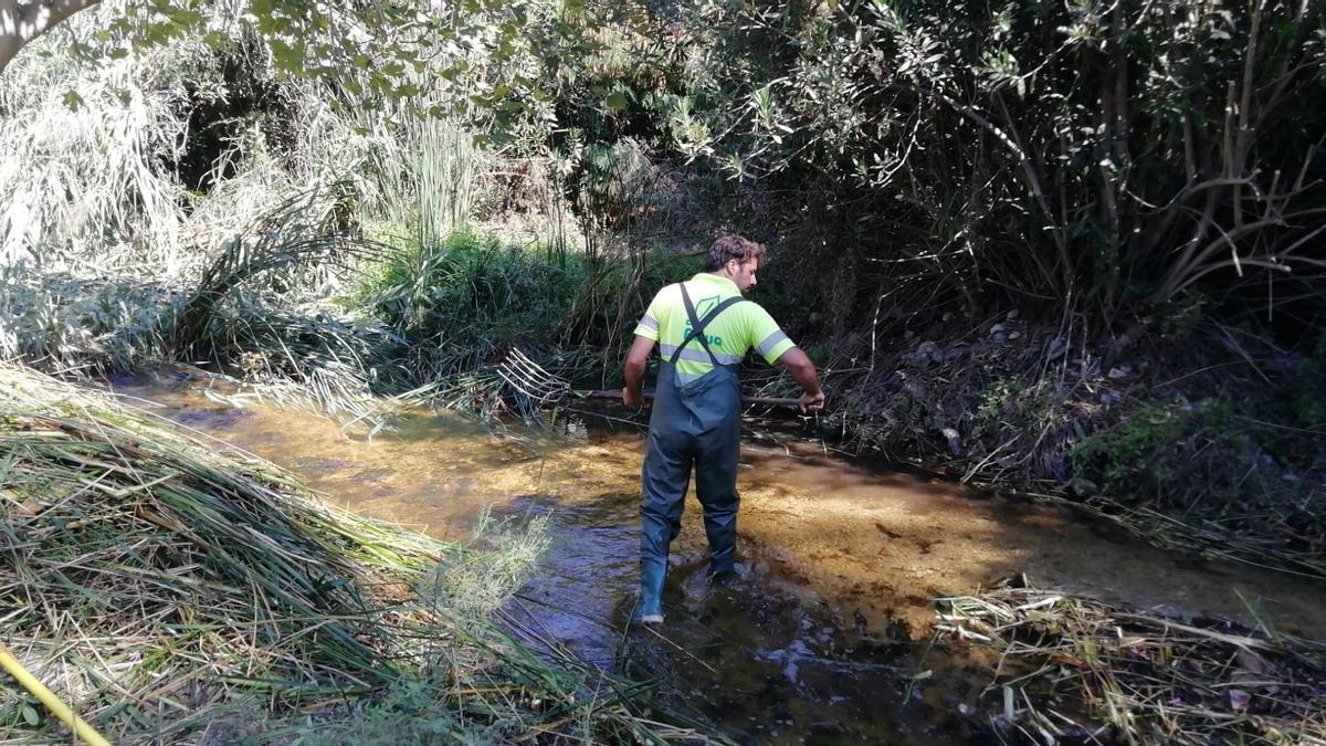 Limpieza, poda y desbroce en el Río Amadorio.