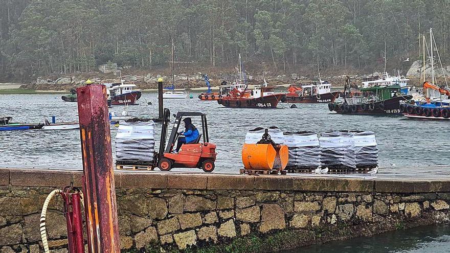 Descargas de mejillón para fresco en Porto Meloxo (O Grove), ayer.