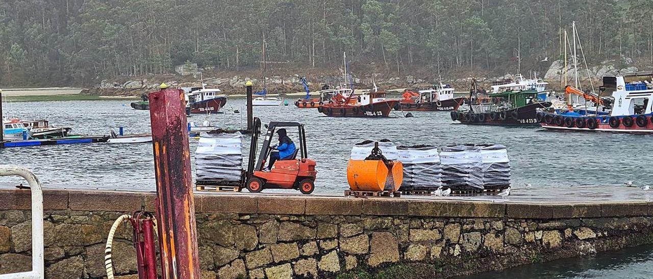 Descargas de mejillón para fresco en Porto Meloxo (O Grove), ayer.